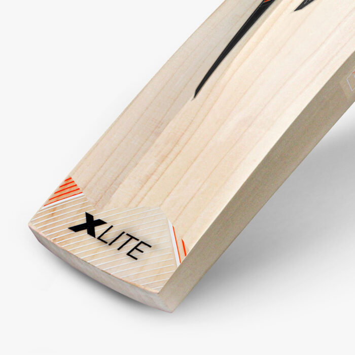 DSC-EW BAT XLITE SERIES 25 - Image 3