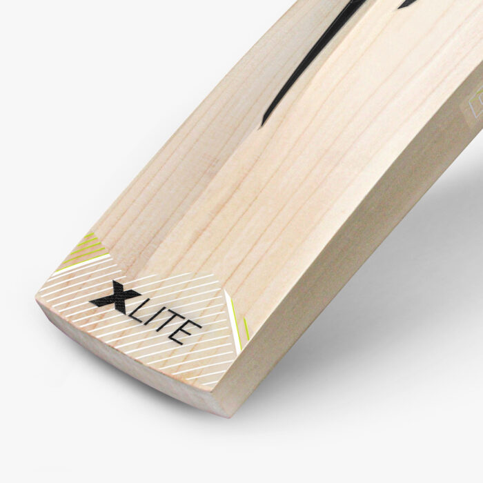 DSC-EW BAT XLITE SERIES 35 - Image 2