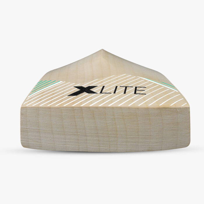 DSC-EW BAT XLITE SERIES 55 - Image 3